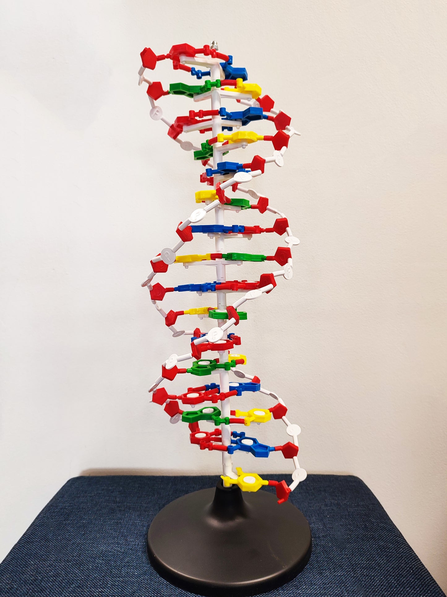 Estructura ADN