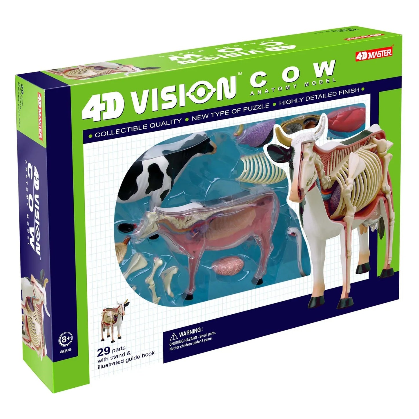 Vaca Modelo Anatómico Veterinario