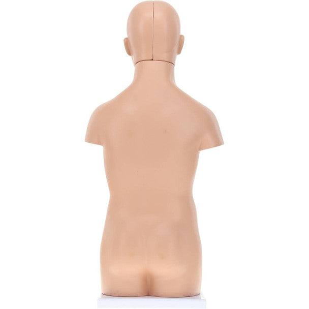 Torso 50 cm desarmable 12 partes