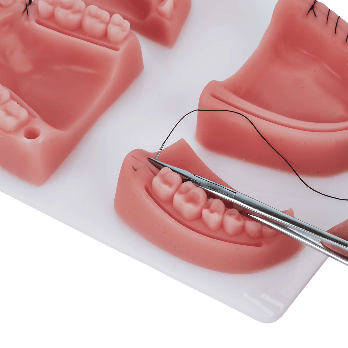 Kit Dental para Práctica de Sutura Piel Sintética