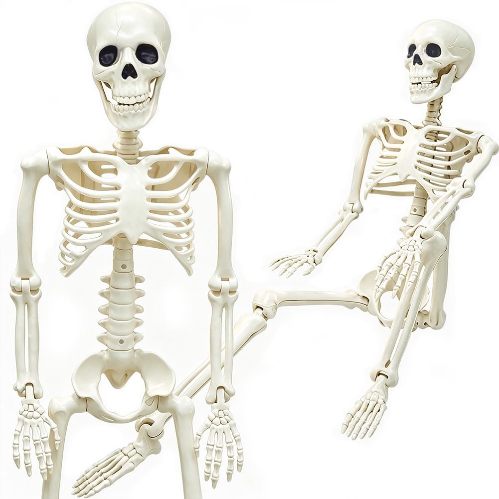 Esqueleto decorativo articulado de cuerpo completo de 90 cm para Halloween